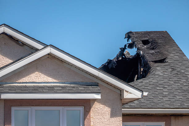 Top rated local Fire Damage Removal specialists in Fort Myer, VA